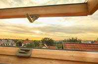 rated Eyton roof window companies